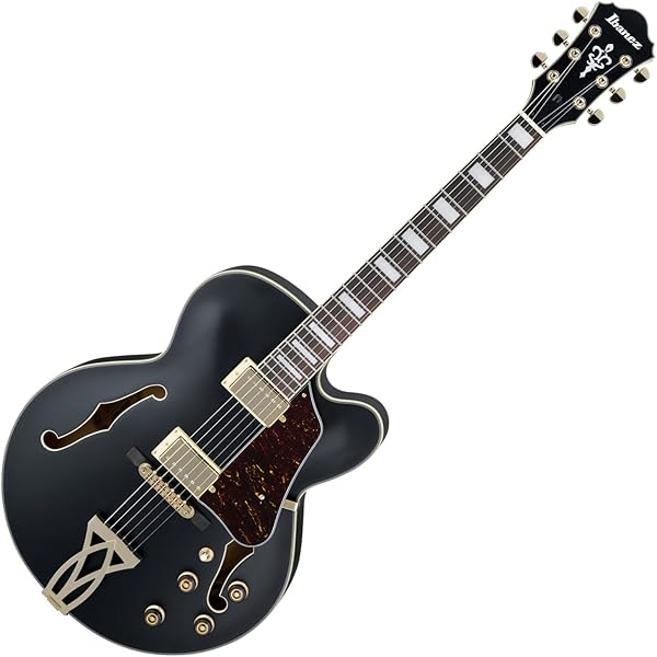Amazon.co.jp: Ibanez AF100C ハードシェルケース : 楽器・音響機器