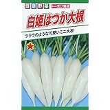 株式会社トーホク 白姫はつか大根 06247