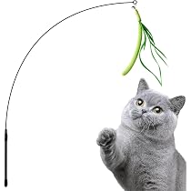 Amazon | 猫じゃらし、猫おもちゃ、猫のお遊びススキ草（エノコログサ