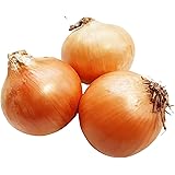 柿の木坂マルシェ たまねぎ 北海道産 秀品 L大サイズ 3kg 甘み 旨味 香味 野菜