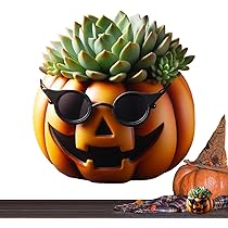 Amazon.co.jp: カボチャ植木鉢、植物用カボチャ鉢 | かぼちゃ