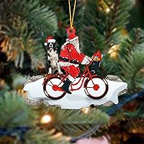 71e3PQIOOJL._AC_UL210_SR210,