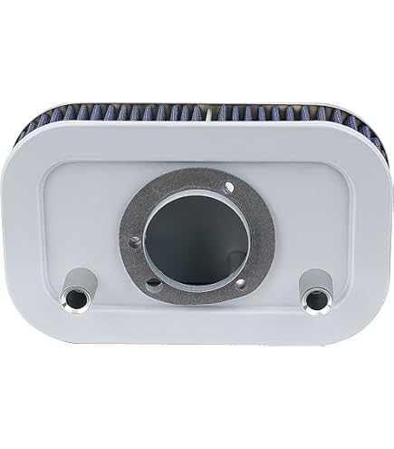 Amazon.co.jp: ハーレーダビッドソン(Harley Davidson) エアフィルター