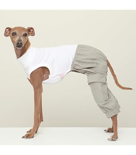 Amazon | D DOGGY STAR イタグレ服 花柄 サルエルパンツ もんぺ