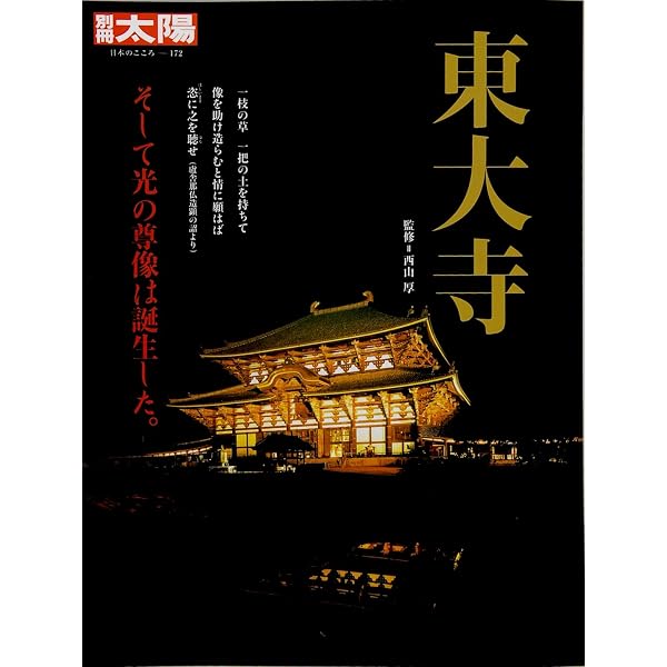 Amazon.co.jp: 誰も知らない東大寺 : 筒井 寛秀, 田中 昭三: 本