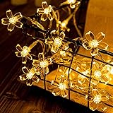 Topamz フェアリーライト LED電球 イルミネーションライト 6M 40個 電池式 桜の花 ストリングライト キャンプ ライト デコレーションライト 屋内 ナイトライト 屋外 ガーデンライト 防水 防塵仕様 調光可能 点滅機能 ハロウィン クリ