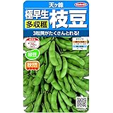 サカタのタネ 実咲野菜7373 早まき枝豆 天ヶ峰 00927373