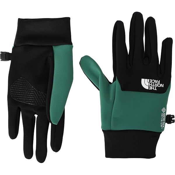 ノースフェイス フィルデンスファイヤーフライグローブミッド Mid Glove Amazon | THE NORTH FACE(ザ・ノースフェイス) 手袋 Fieludens Firefly