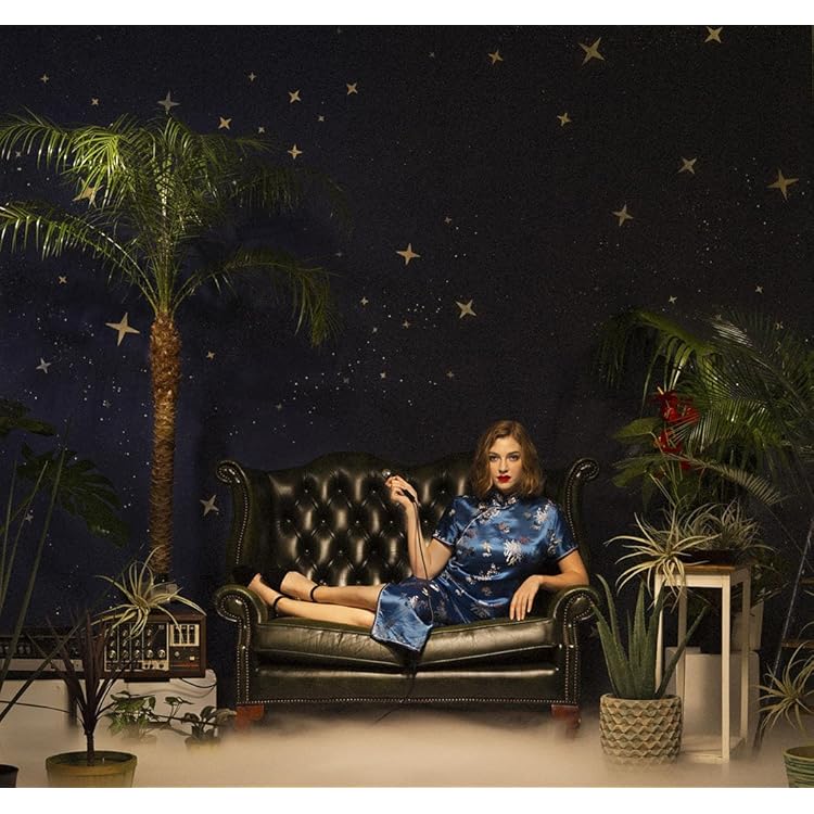 Amazon.co.jp: The Secret Life of VIDEOTAPEMUSIC (LP): ミュージック