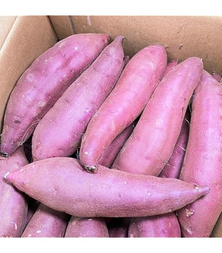 Amazon.co.jp: [市場からお届け] さつまいも 5kg 紅はるか 茨城県産 30