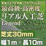 最高級 リアル 人工芝 「レジェンド」 芝丈30mm《1m×10m》 【防炎認証済】