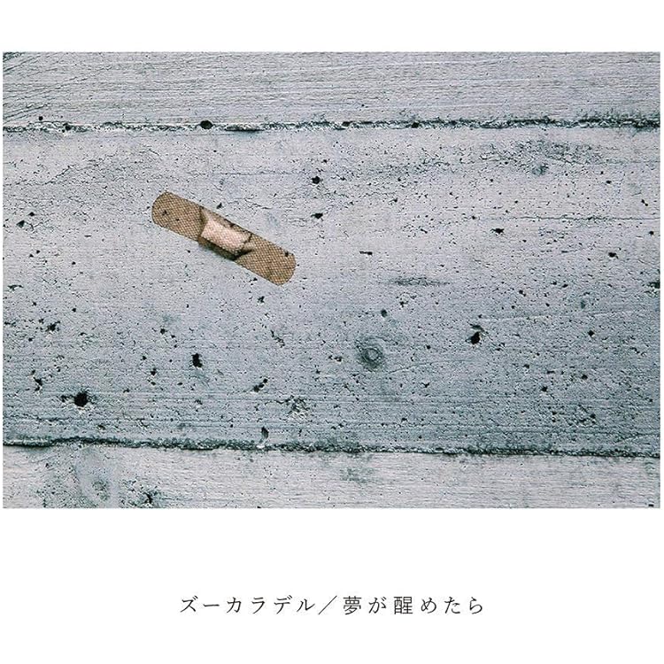 Amazon.co.jp: ズーカラデル: ミュージック