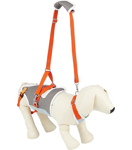 【新品】LaLaWalk 小型犬 ダックス 緑 チェック 歩行補助 ハーネス 美品】LaLaWalk 小型犬 ダックス 緑 チェック 歩行補助 ハーネス