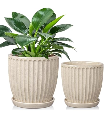 はなかっぱ　ももかっぱ植木鉢 未使用□はなかっぱ&ももかっぱ コンポート 植木鉢 プランター