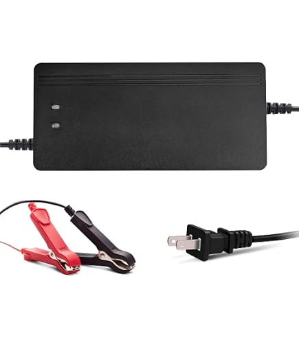 Amazon.co.jp: 24V 10A リチウムバッテリー充電器 29.2V LiFePO4