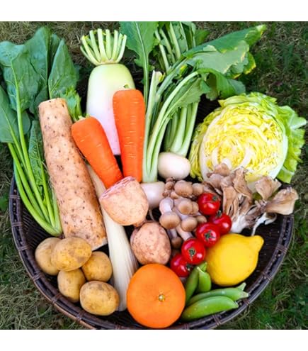 Amazon.co.jp: 【MSKSHOP】野菜セット 玉ねぎ じゃがいも にんじん