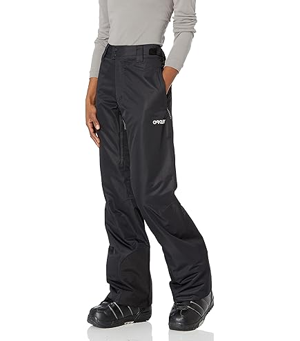 Amazon.co.jp: [ザノースフェイス] スキーウェア パンツ メンズ