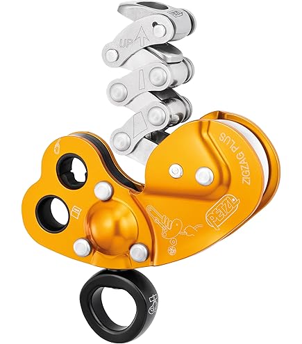 Amazon | Petzl CHICANE追加ブレーキ 並行輸入 | ペツル(PETZL