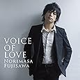 VOICE OF LOVE ~愛の力~(DVD付)