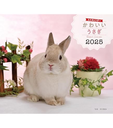 Amazon.co.jp: アクティブコーポレーション 2025年 カレンダー