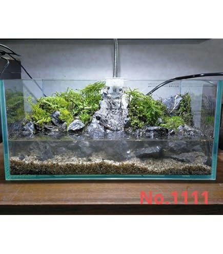 完成品 パルダリウム 巨大 60cmオールガラス水槽 ️⭕️本日限定sale️