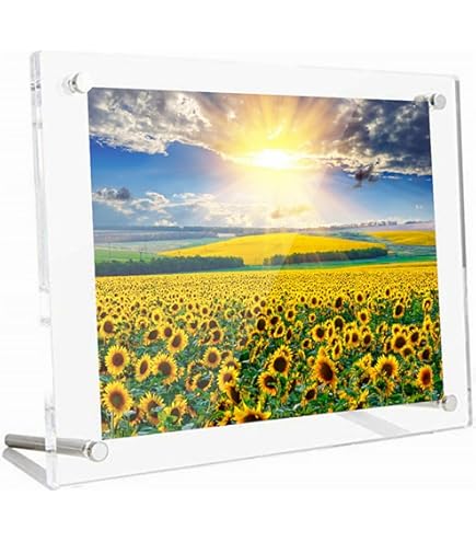 Amazon.co.jp: CREW'S (クルーズ) アクリルフレーム ビスタイプ