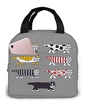 Amazon.co.jp: [RFSHOP] リサラーソン リュック メンズ ビジネス