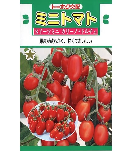 Amazon.co.jp: 株式会社トーホク 甘~いトマト 甘九郎 03711 : DIY
