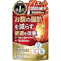 ダイエット・サプリ ダイエット サプリ 脂肪燃焼 内臓脂肪 皮下脂肪 糖の吸収 運動中の脂肪