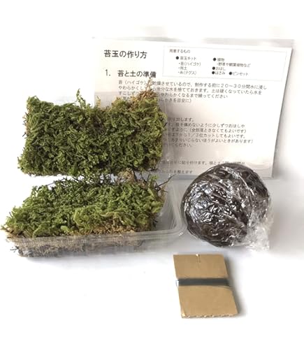 苔玉・苔 TAKA kokekit10.jpg