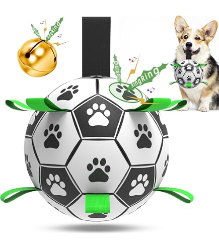 WishLotus Hundespielzeug – Interaktiver Ball Mit Glocke & Quietscher – Für Suchspiele & Zahnreinigung