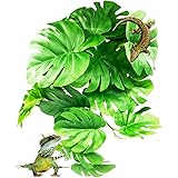 S.fields.inc 人工植物 爬虫類ケージ用 ビバリウム 水槽 葉 両生類 カメ カエル 吸盤付き ペット用品 (モンステラ)