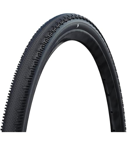 Amazon | シュワルベ(SCHWALBE)【正規品】シュワルベ ジーワン RS プロ