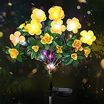 71ekNEfCEsL._AC_UL210_SR210,