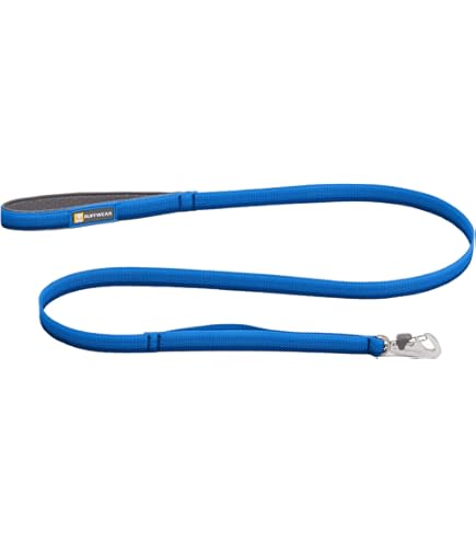 Amazon.co.jp: 大衆心理と広告技法 実践編 Great Leads : ペット用品