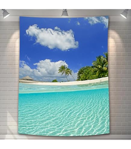 Amazon.co.jp: 艦これ公式 特別限定生産 艦娘B2タペストリー