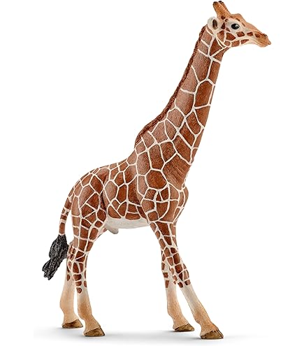 Amazon.co.jp: シュライヒ ワイルドライフ アジアの野生動物