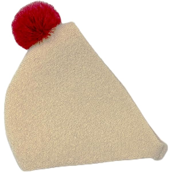 Romi ロボット本体+公式きせかえ ぽんぽん帽子2種類 会話AIロボット