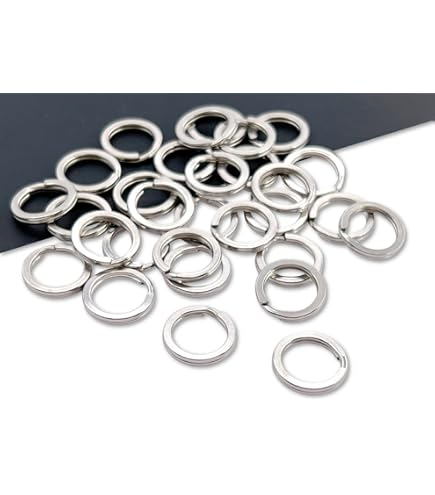 Amazon | 【1個】ステンレス ダブルリング 二重リング 二重カン