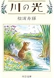 川の光 (中公文庫)