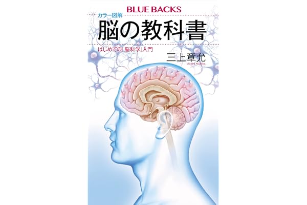 カラー図解　脳の教科書　はじめての「脳科学」入門 (ブルーバックス)
