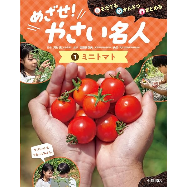 ミニトマトをつくろう! (学校でそだててかんさつ夏やさい) | 青山由紀