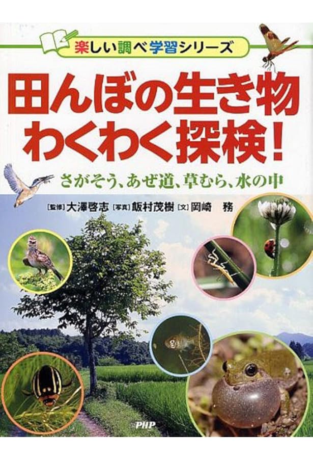 田んぼの生き物図鑑 増補改訂新版 (ヤマケイ情報箱) | 内山 りゅう |本