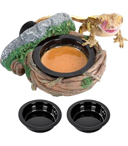 Amazon | REPTIZOO ミニ爬虫類ガラステラリウムタンク 8インチ x 8