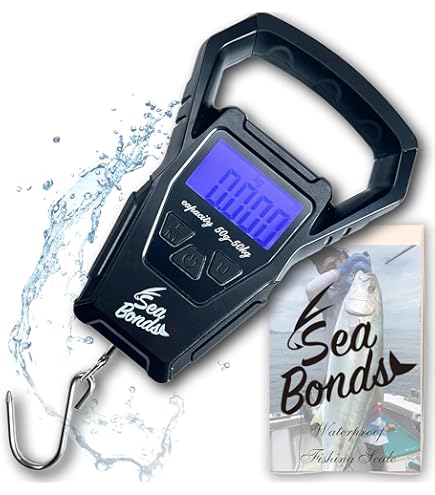 Amazon | ヤマガブランクス エギングロッド カリスタ86M/PF | ノー