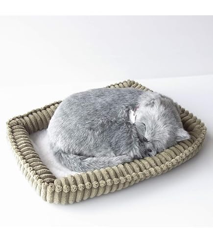 Amazon.co.jp: 猫の恩返し ナトル ぬいぐるみ どんぐり共和国 ジ ブ リ