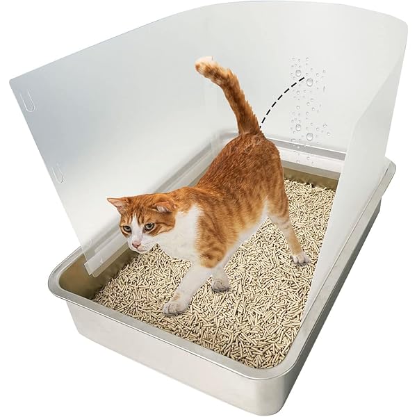 Cat Litter Tray For Arthritic Cats at Sarah Benjamin blog
