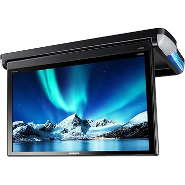 Amazon.co.jp 売れ筋ランキング: 車載用フリップダウンモニター の中で