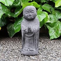 71f0XnDgsHL._AC_UL210_SR210,