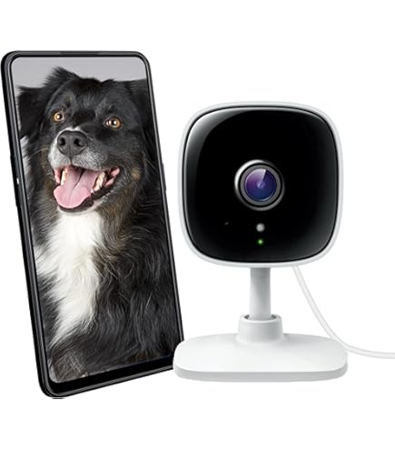 Google Nest Cam GJQ9T 2個セット Google Nest Cam Gen 2 Wired | GJQ9T Indoor Snow Excellent